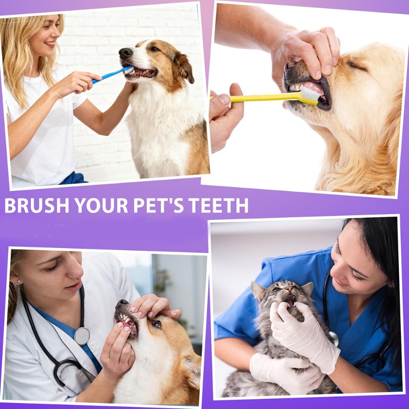 Dog Paw Cleaner - AB66-Hond Mondhygiëne Tool - 60-koppige hondentandenborstel,
