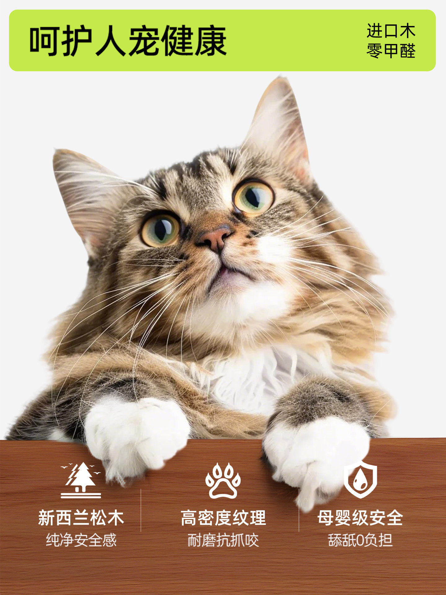 Eerste kleur middeleeuwse stij - Pet Supplies First recensie en prijs