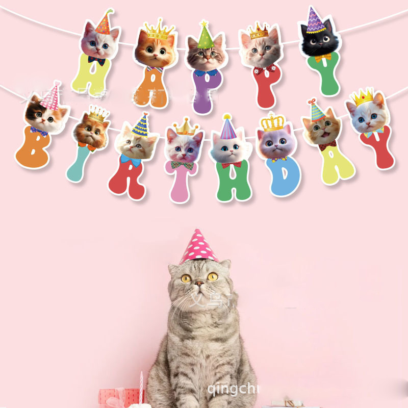 Kat Gezicht Hangende Swirl Dec - Pet Supplies First recensie en prijs