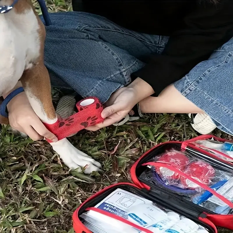 Compacte EHBO-doos voor huisdi - Pet Supplies First recensie en prijs