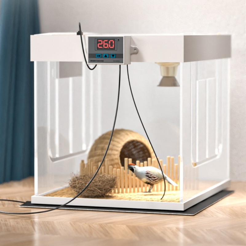 USB Temperatuurregeling Timing - Reptile Heating Mat recensie en prijs