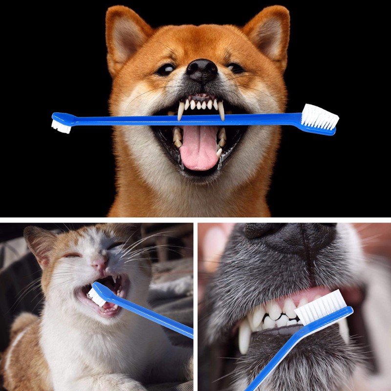 AB66-Hond Mondhygiëne Tool - 6 - Dog Paw Cleaner recensie en prijs